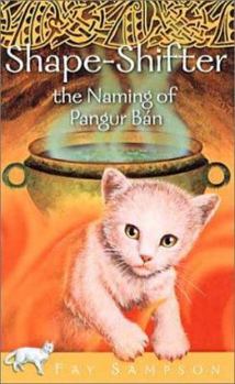 Shape-Shifter: The Naming of Pangur Bán - Book #4 of the Pangur Bán Celtic Fantasies