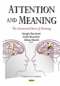 Hardcover Attention and Meaning Book
