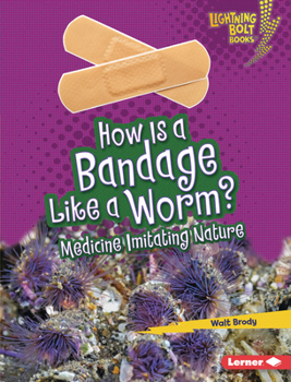 Library Binding How Is a Bandage Like a Worm?: Medicine Imitating Nature Book