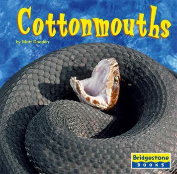 Library Binding Cottonmouths Book