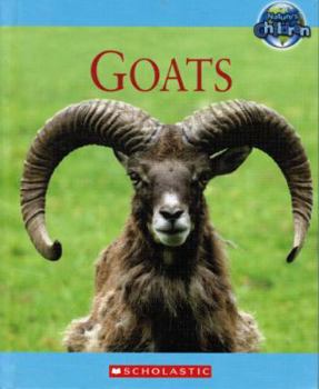 Library Binding Goats (Nature's Children) Book