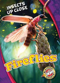 Fireflies - Book  of the Insects Up Close