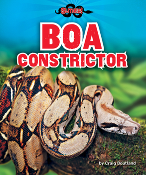 Boa Constrictor - Non-Fiction Reading About Snakes for Grade 3, Developmental Learning for Young Readers - Slither!