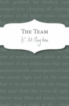 The Team - Book #2 of the Ruth Hollis