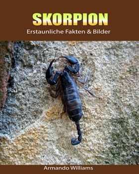 Paperback Skorpion: Erstaunliche Fakten & Bilder [German] Book