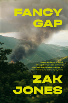 Hardcover Fancy Gap Book