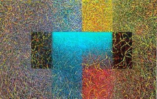 Paperback Understanding Arguments: An Introduction to Informal Logic Book