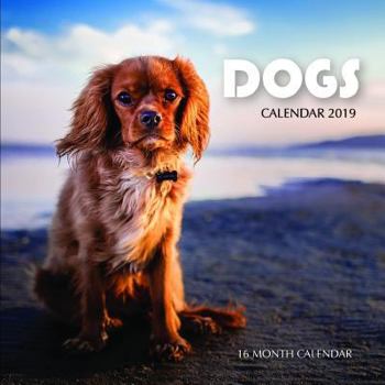 Paperback Dogs Calendar 2019: 16 Month Calendar Book