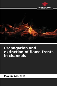 Propagation and extinction of flame fronts in channels