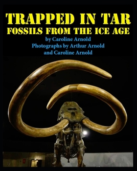 Paperback Trapped in Tar: Fossils from the Ice Age Book