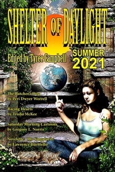 Paperback Shelter of Daylight Summer 2021 Book