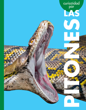 Library Binding Curiosidad Por Las Pitones [Spanish] Book
