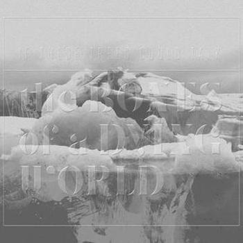 Vinyl The Bones Of A Dying World Book