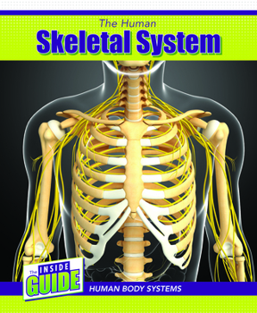 Library Binding The Human Skeletal System Book