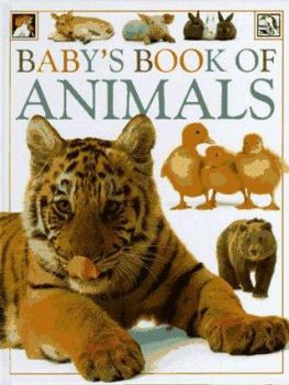 Hardcover Baby's Book of Animals Book