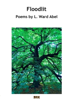 Paperback Floodlit Book