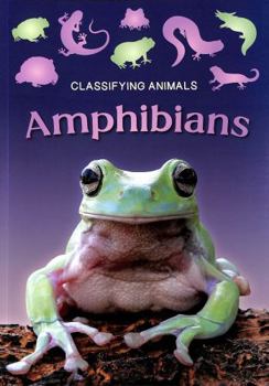 Paperback Amphibians (Classifying Animals) Book