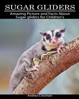 Paperback Sugar gliders: Amazing Picture and Facts About Sugar gliders for Children's Book