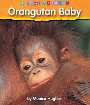 Hardcover Orangutan Baby Book