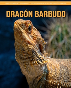 Paperback Dragón barbudo: libro de imágenes asombrosas y hechos maravillosos sobre Dragón barbudo [Spanish] [Large Print] Book