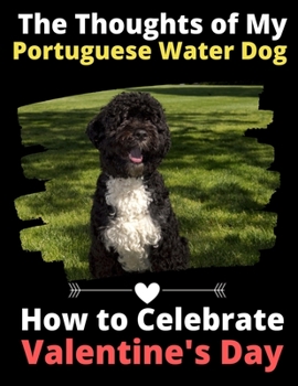 The Thoughts of My Portuguese Water Dog: How to Celebrate Valentine's Day