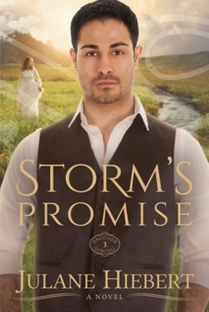 Paperback Storm's Promise Book