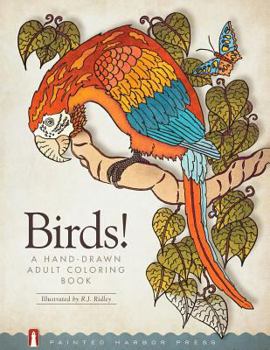 Paperback Birds!: A Hand-Drawn Adult Coloring Book