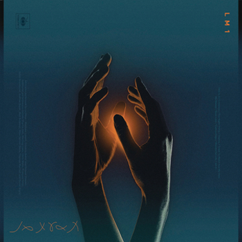 Vinyl Lo Moon Book