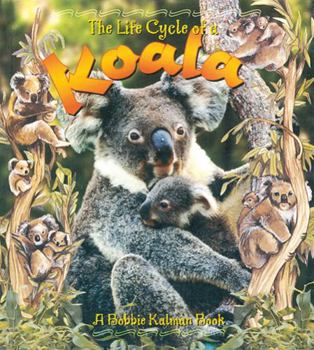 Hardcover Koala Book