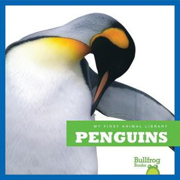 Penguins - Book  of the My First Animal Library
