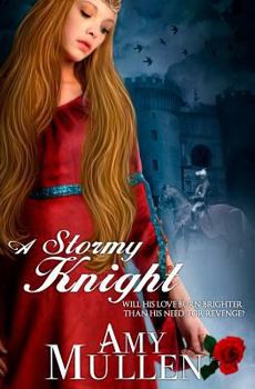 Paperback A Stormy Knight Book