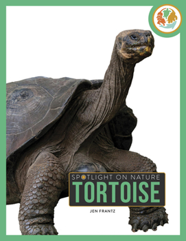 Paperback Tortoise Book