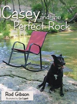 Hardcover Casey and the Perfect Rock Book