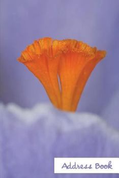 Address Book.: (Flower Edition Vol. E67) Abstract Flower Design Glossy And Soft Cover, Large Print, Font, 6" x 9" For Contacts, Addre