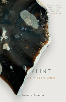 Paperback Flint: A Lithic Love Letter Book