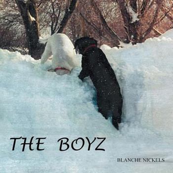 Paperback The Boyz Book