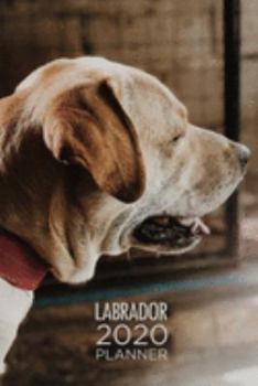 2020 Planner: Increase productivity, improve time management, reach your goals: Beautiful Labrador Retriever: Modern artistic photography style