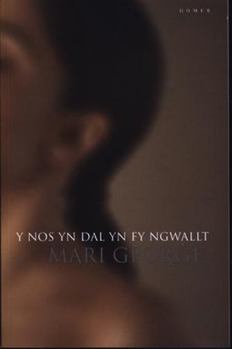 Hardcover Y Nos Yn Dal Yn Fy Ngwallt [Welsh] Book