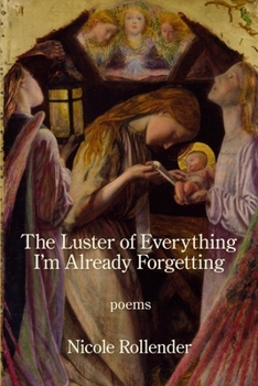 Paperback The Luster of Everything I'm Already Forgetting Book