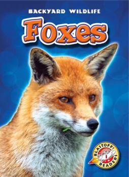 Foxes - Book  of the Backyard Wildlife