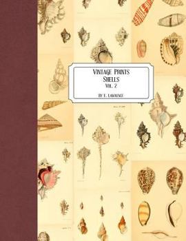 Paperback Vintage Prints: Shells: Vol. 2 Book