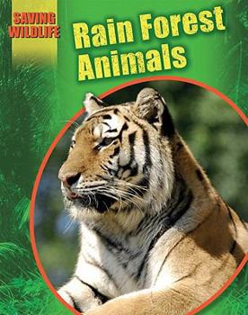 Library Binding Rain Forest Animals Book