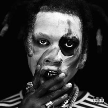 Vinyl Ta13 Oo  Pink Marble Lp Book