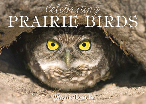 Paperback A Celebration of Prairie Birds Book