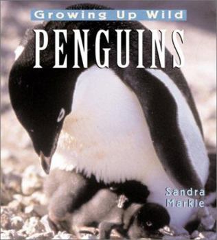 Hardcover Penguins: Growing Up Wild Book