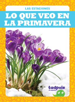 Paperback Lo Que Veo En La Primavera (What I See in Spring) [Spanish] Book