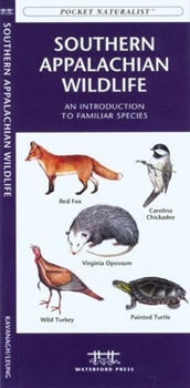 Paperback Gulf Coast Birds: An Introduction to Familiar Species Book