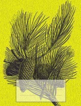 Paperback Cornell Notes Notebook: Yellow Pine 8.5x11 Book