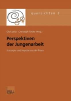 Paperback Perspektiven Der Jungenarbeit: Konzepte Und Impulse Aus Der PRAXIS [German] Book