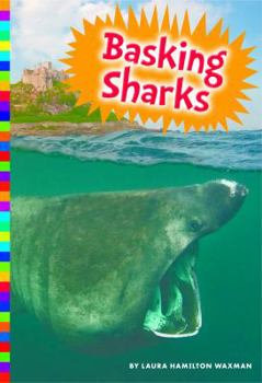 Paperback Basking Sharks Book